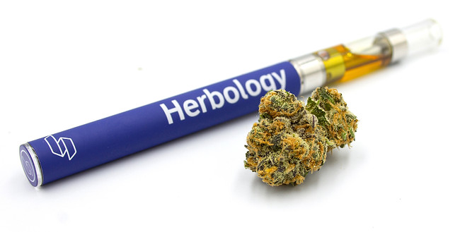 Herbology 1.jpg