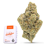 Cap Junky - Mini Prerolls.png