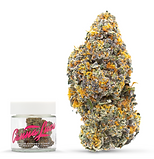 Gelato 41 - 3.5g Jar.png